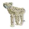 Guepard